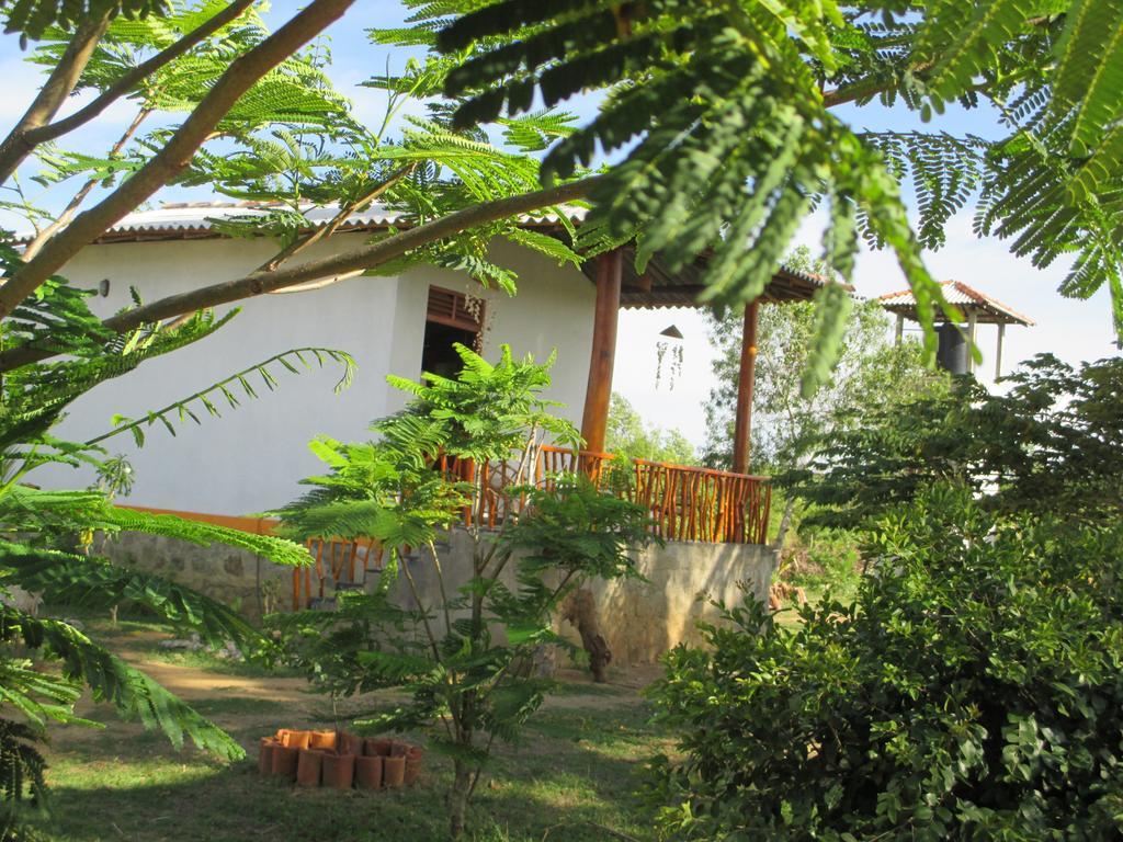 Villa Coconut Island Tangalle Exterior foto