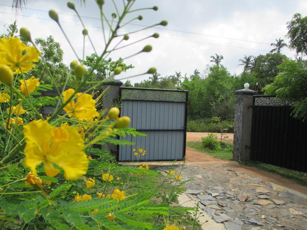 Villa Coconut Island Tangalle Exterior foto