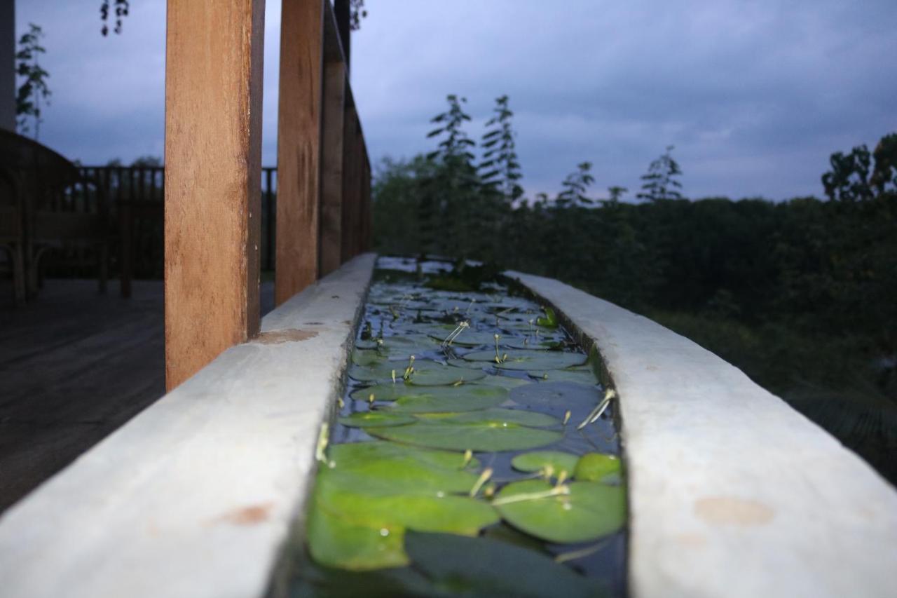 Villa Coconut Island Tangalle Exterior foto