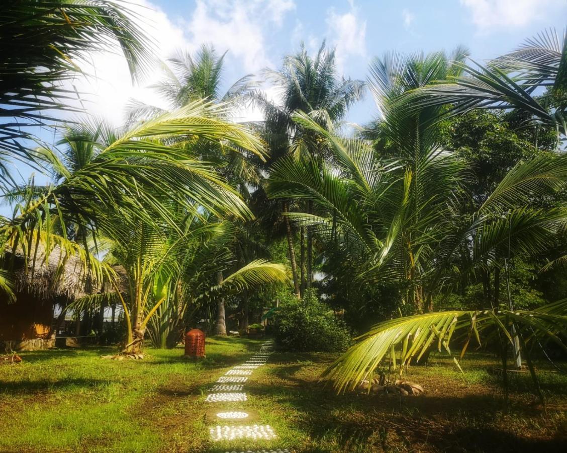 Villa Coconut Island Tangalle Exterior foto