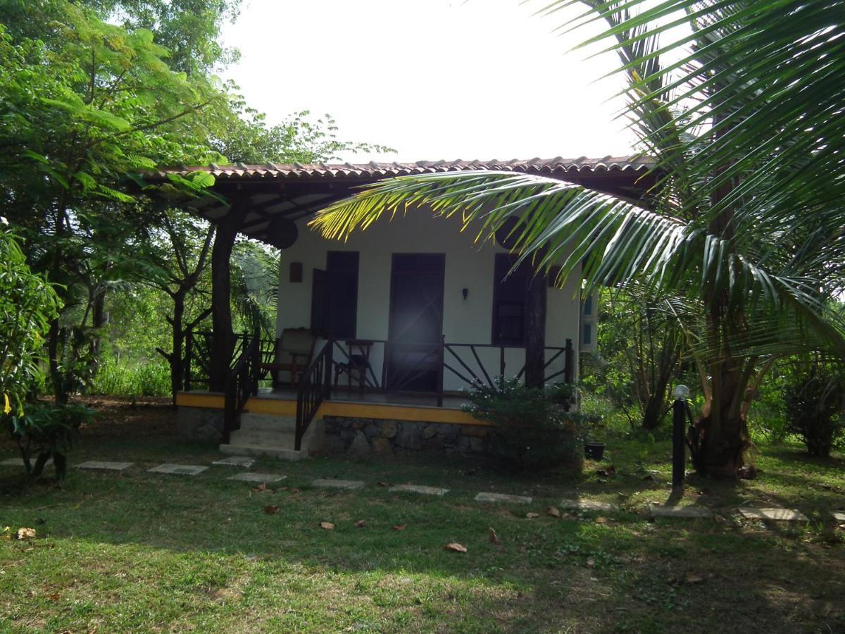 Villa Coconut Island Tangalle Exterior foto