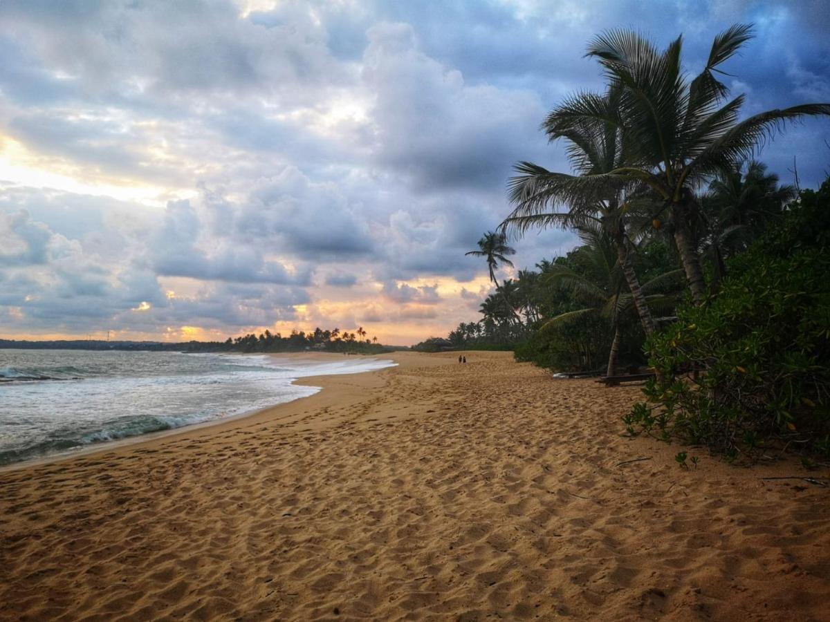 Villa Coconut Island Tangalle Exterior foto