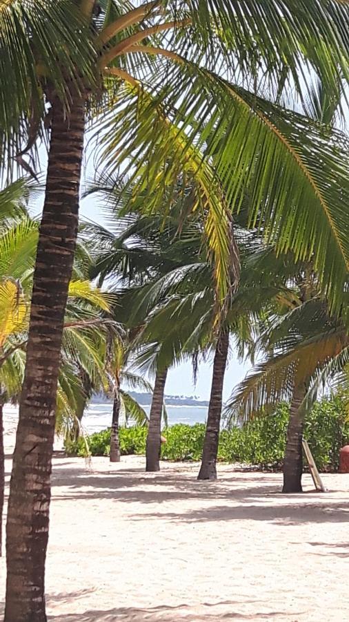 Villa Coconut Island Tangalle Exterior foto