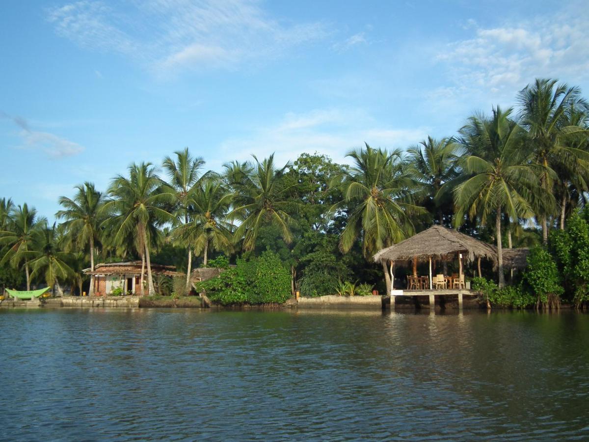 Villa Coconut Island Tangalle Exterior foto